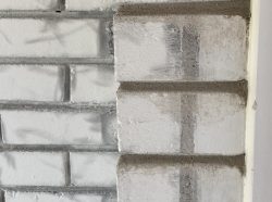 IMG_2276